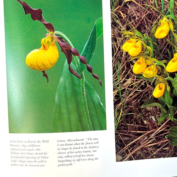 USPS Wildflowers A Collection Of U.S. Commemorative Stamps Hardcover Book - Picture 15 of 16